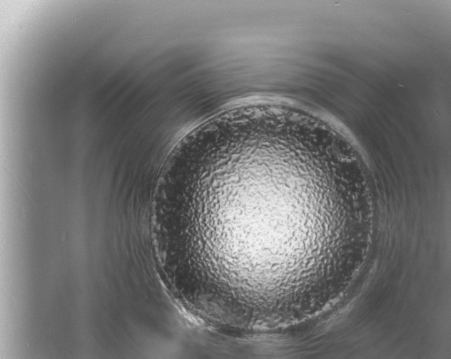 X0000060810953200511171305