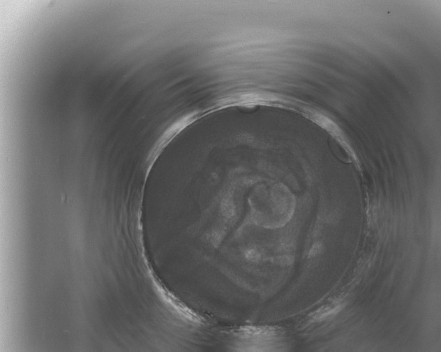 X0000060810954200511171305