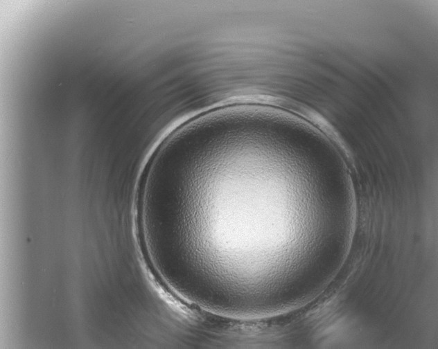 X0000060810955200511171305