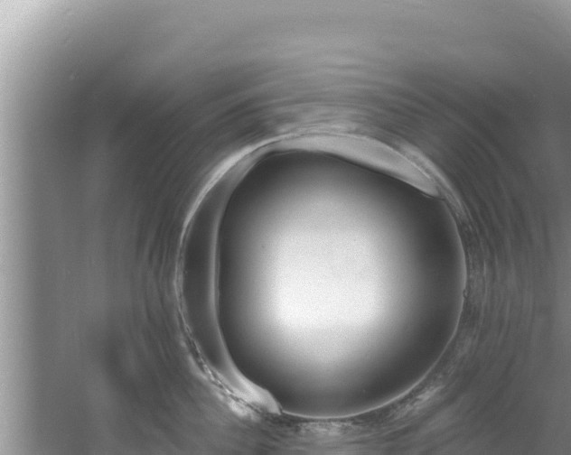 X0000060810956200511171305