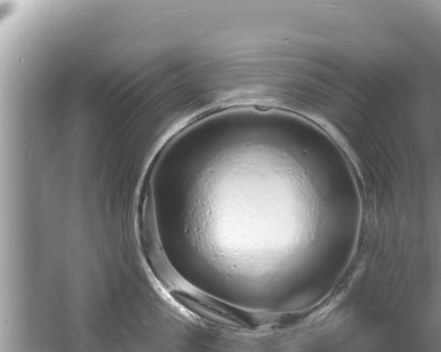 X0000060810957200511171305