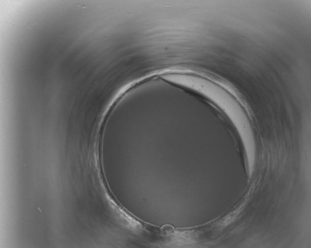 X0000060810958200511171305