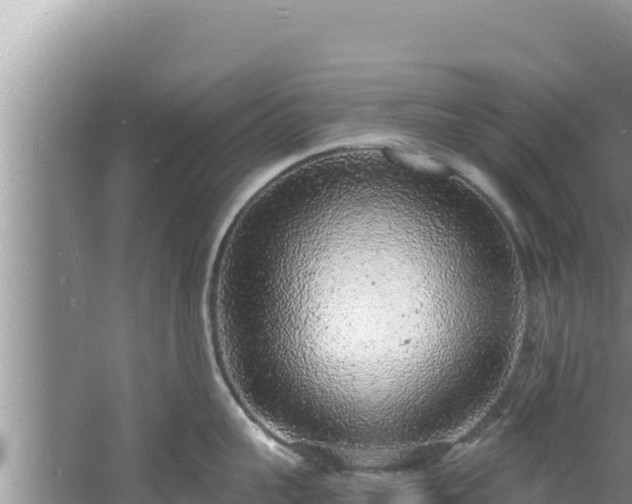 X0000060810959200511171305