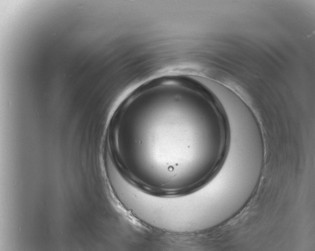 X0000060810960200511171305