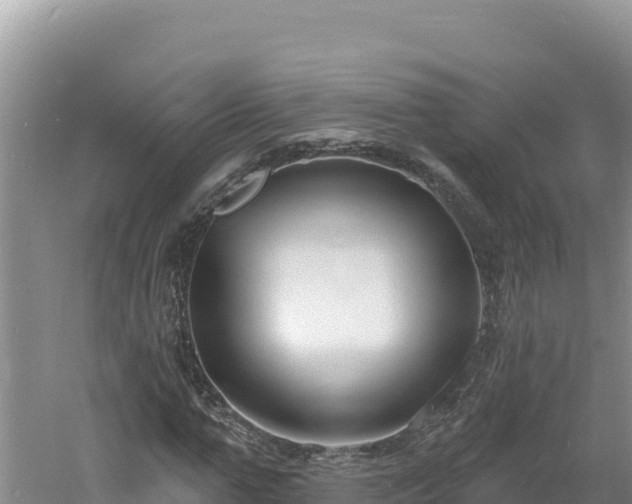 X0000060810967200511171304