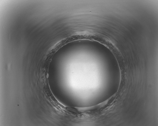 X0000060810968200511171304