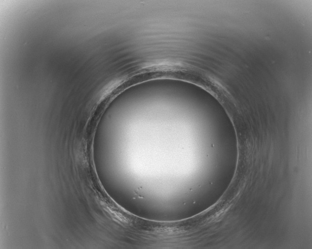 X0000060810970200511171304