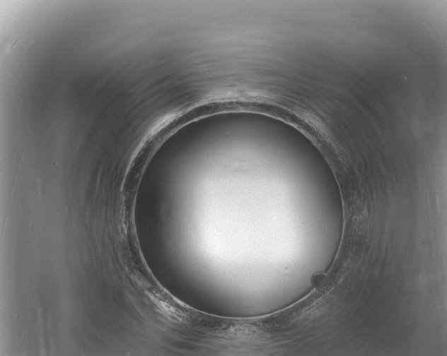 X0000060810974200511171304