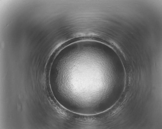 X0000060810975200511171304