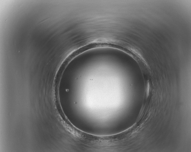 X0000060810976200511171304