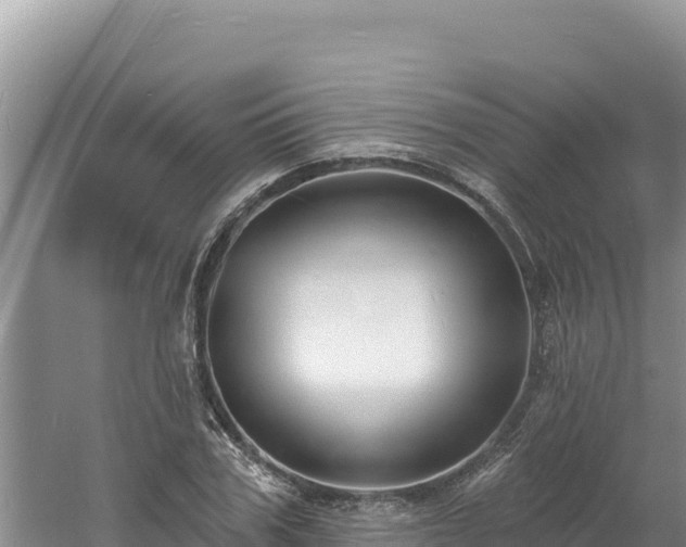 X0000060810979200511171304