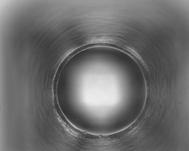 X0000060810980200511171304