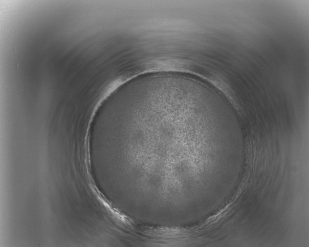 X0000060810982200511171304