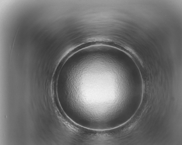 X0000060810983200511171303