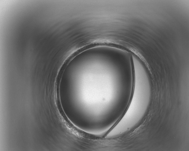 X0000060810984200511171303