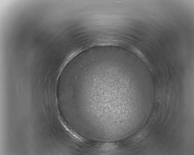 X0000060810986200511171303