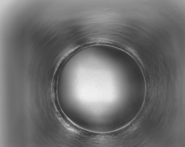 X0000060810987200511171303