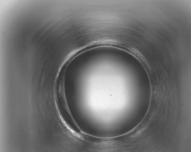 X0000060810989200511171303