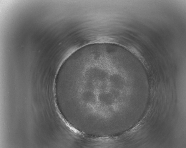 X0000060810990200511171303