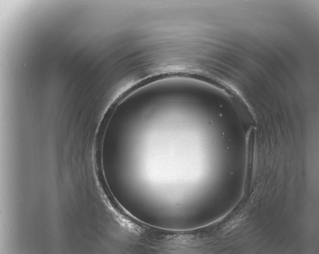 X0000060810991200511171303