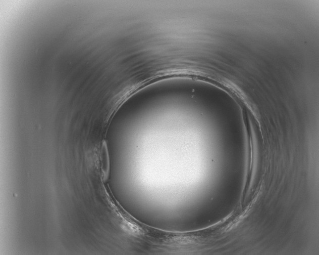 X0000060810993200511171303