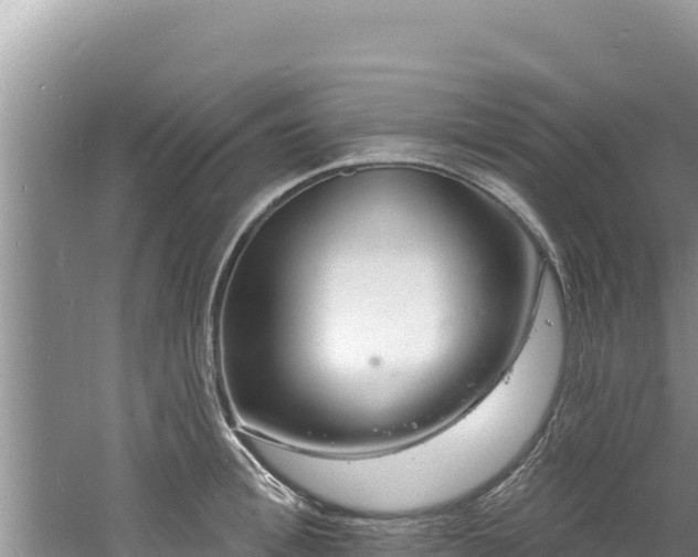 X0000060810996200511171303