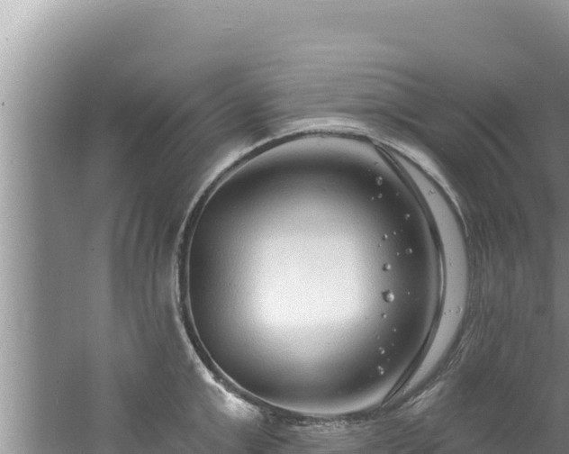 X0000060810999200511171303