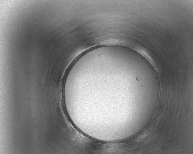 X0000060811000200511171303