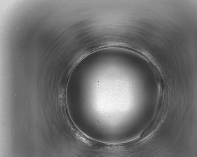 X0000060811001200511171303