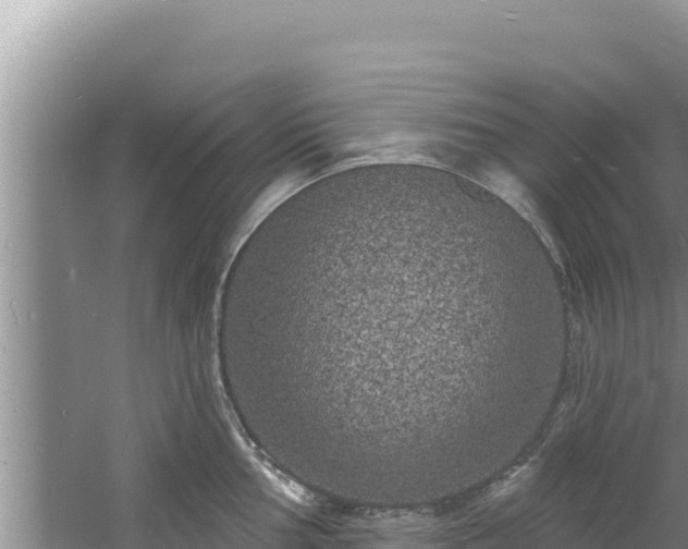 X0000060811002200511171303