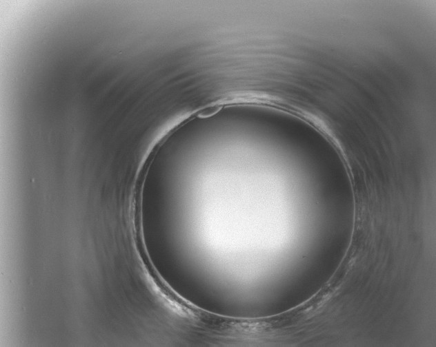 X0000060811003200511171303