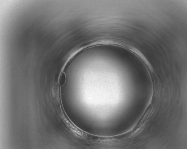 X0000060811004200511171303