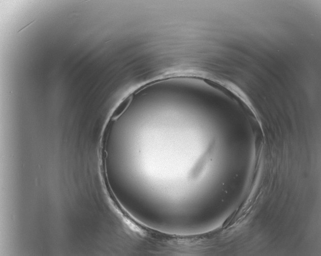 X0000060811005200511171303