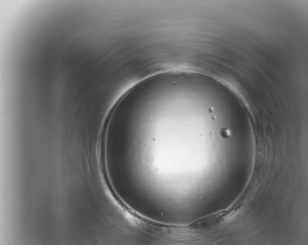 X0000060811007200511171303