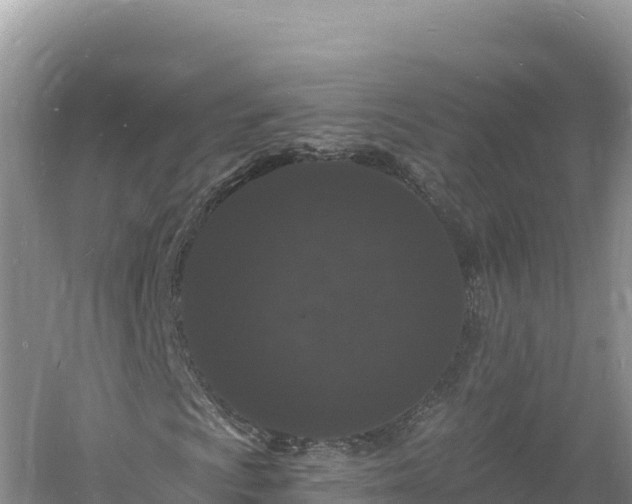 X0000060811009200511171302