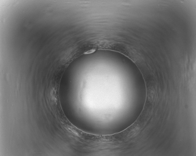 X0000060811010200511171302