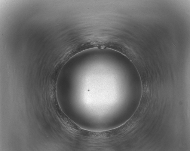 X0000060811012200511171302