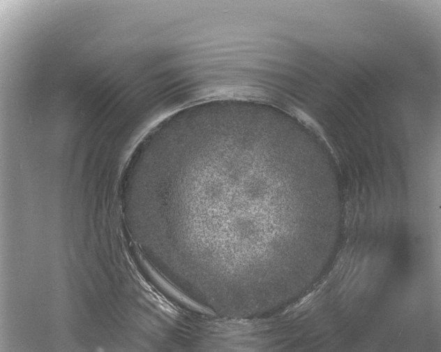 X0000060811019200511171302