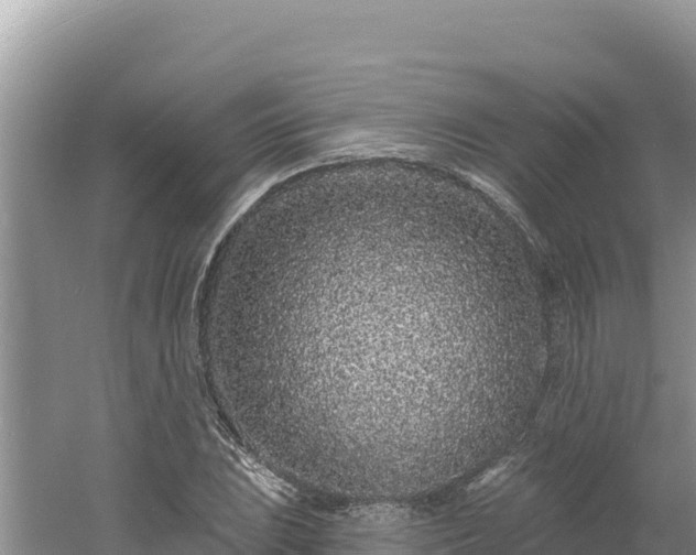 X0000060811023200511171302