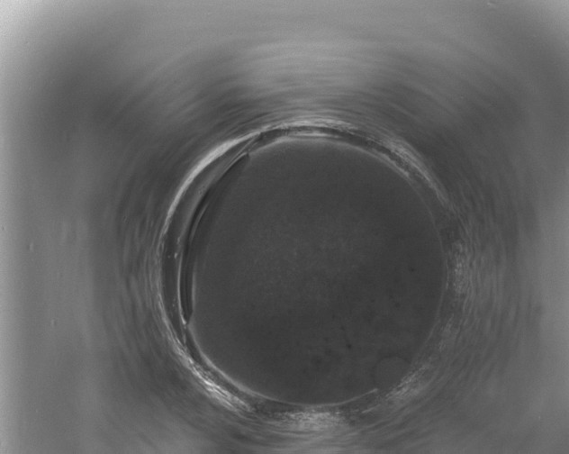 X0000060811024200511171302