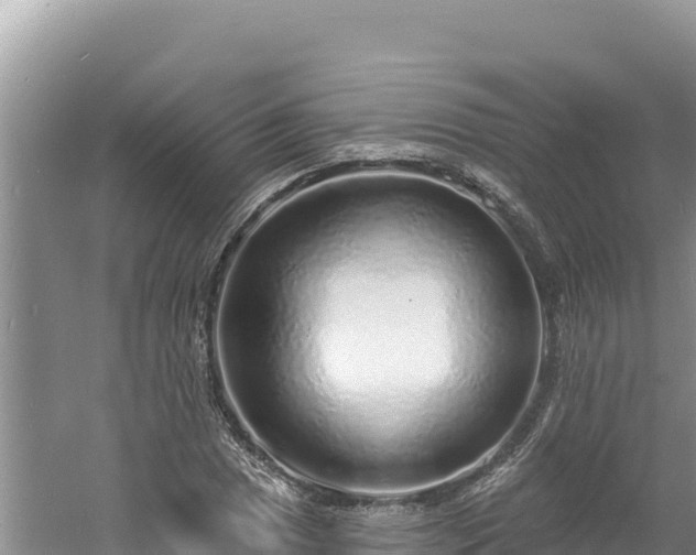 X0000060811025200511171303