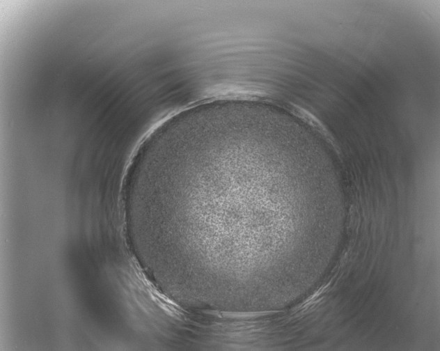 X0000060811027200511171303