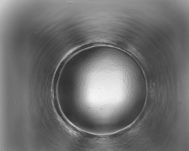 X0000060811028200511171303