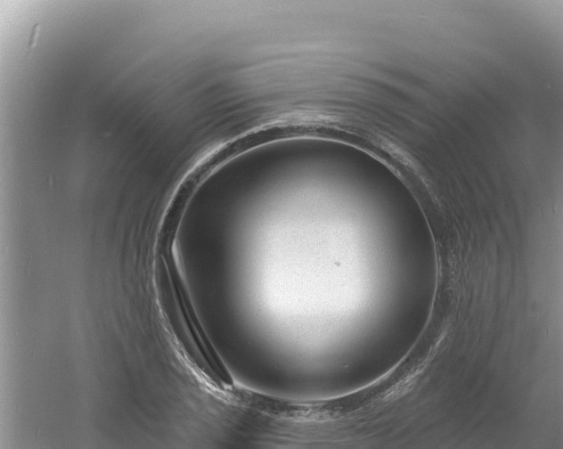 X0000060811029200511171303