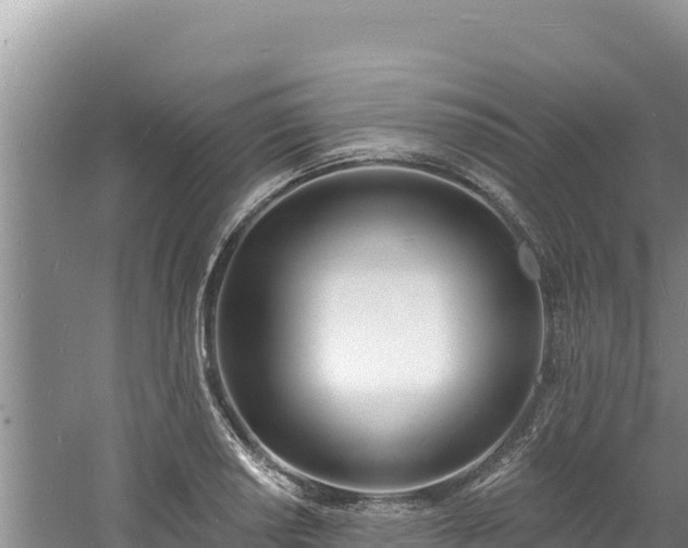 X0000060811034200511171303