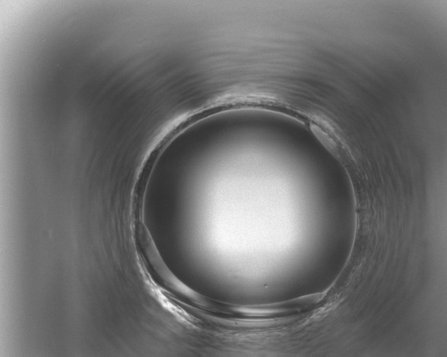 X0000060811038200511171303