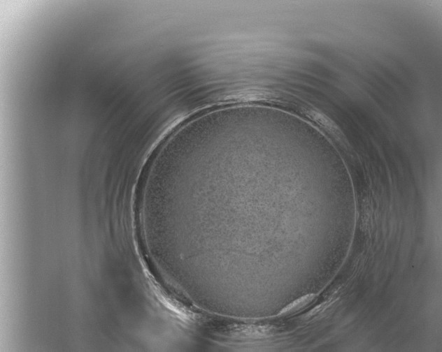 X0000060811039200511171303