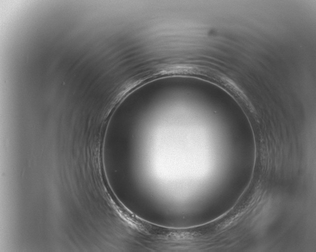 X0000060811041200511171303