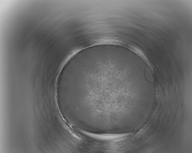 X0000060811043200511171303