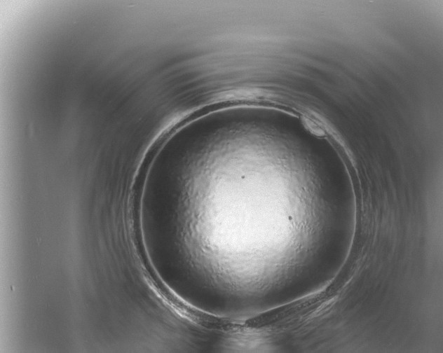 X0000060811045200511171303